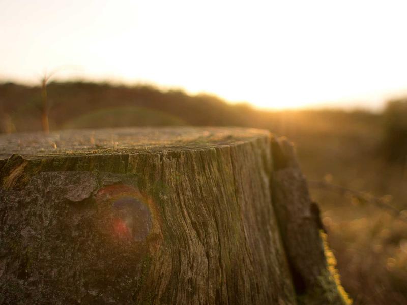 sudoku strategy guide screenshot 3